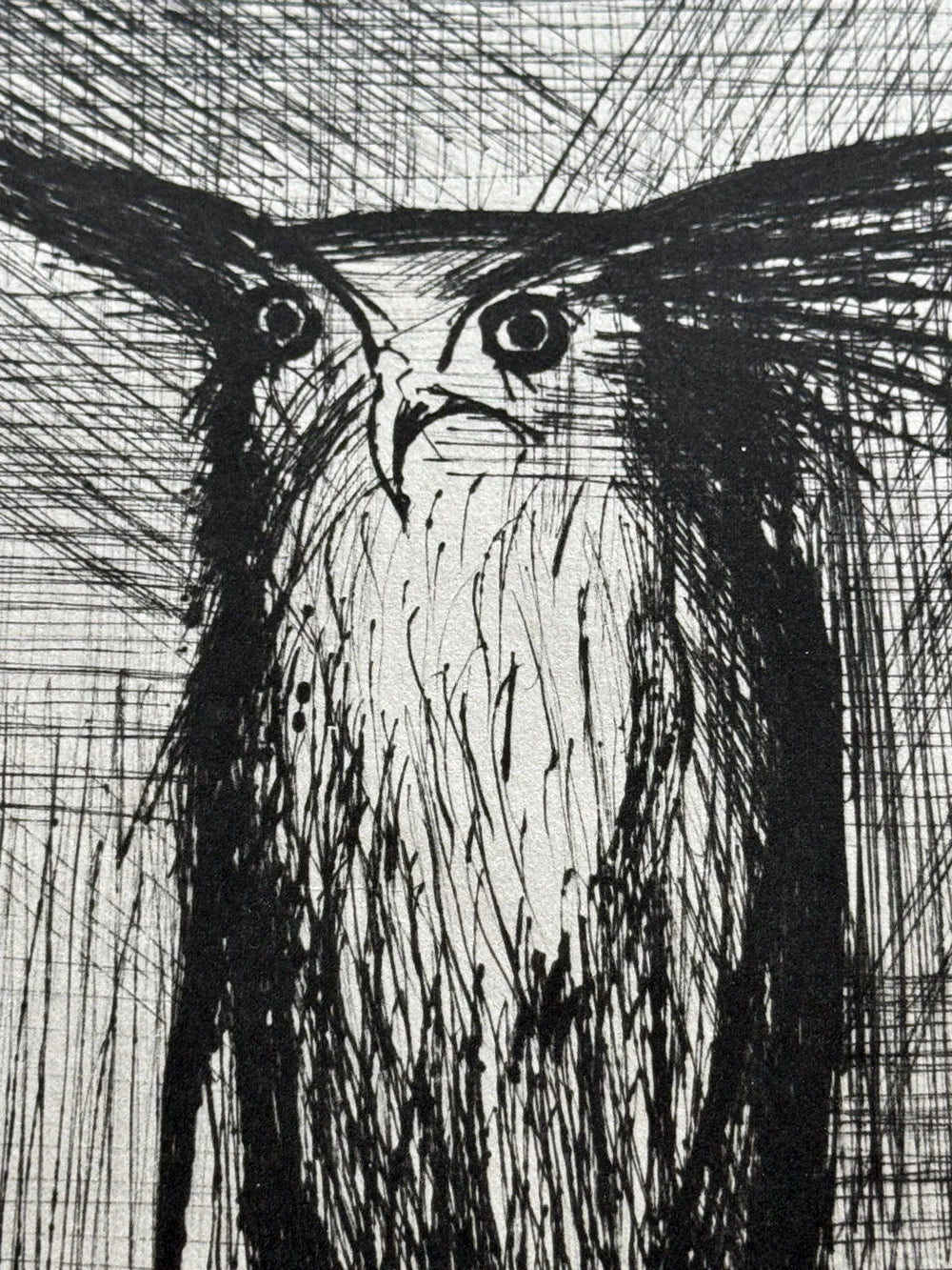 Bernard Buffet Limited Edition Lithograph - Owl - 1959 w/Frame Included
