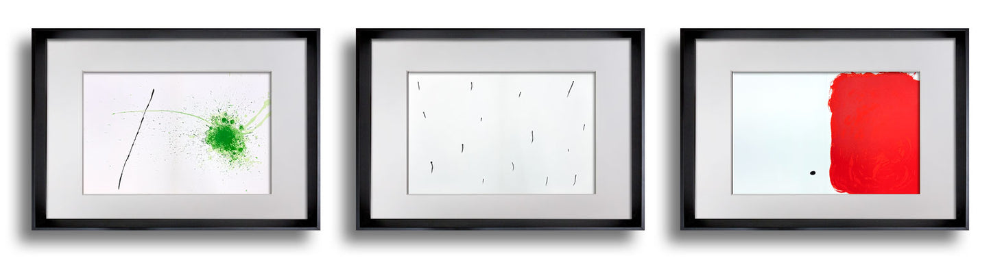 Joan Miró Original Double Lithographs (Set of 3) 1971 • Limited Edition • Custom Framed