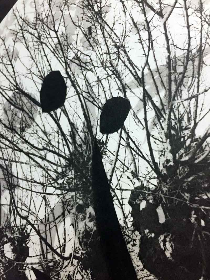 Pablo Picasso Lithograph Pochoir Ltd. Edition