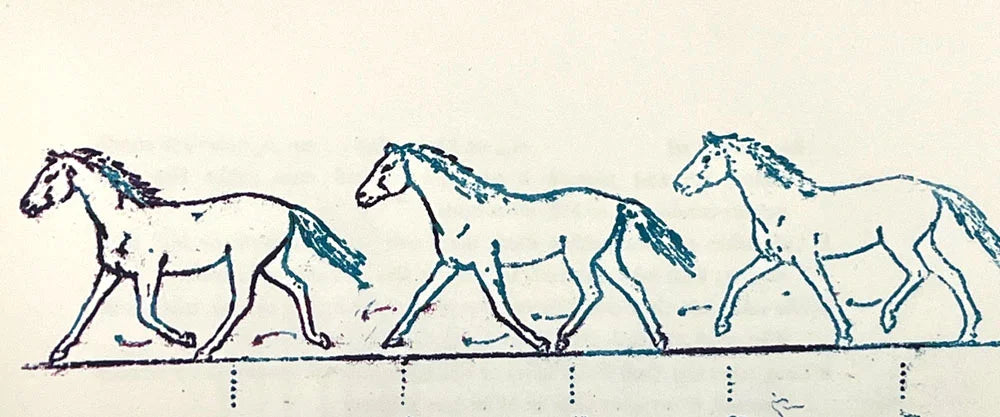 Max ERNST Lithograph ORIGINAL Limited Ed. Deckled Arches +Ref: b148 +FRAME