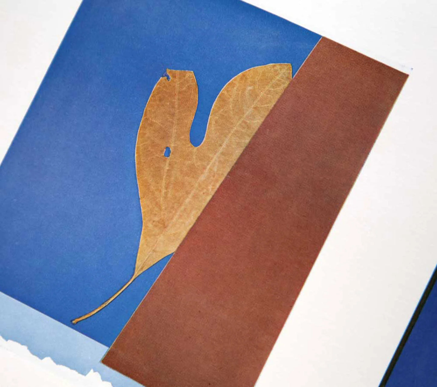 Josef Albers Original Silkscreen XXIV-1a