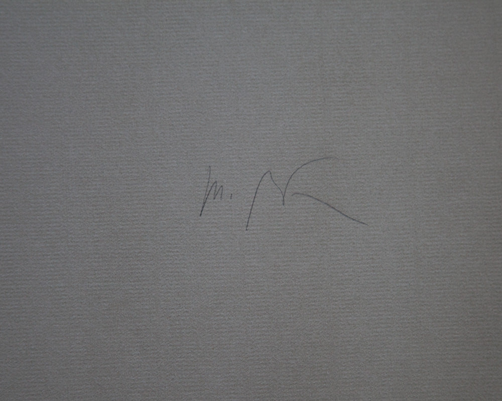 Victor VASARELY Original LITHOGRAPH Limited Edition w/Custom Frame