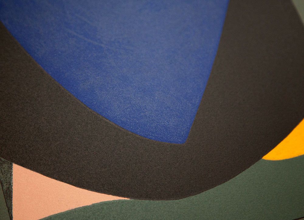 Victor VASARELY Original LITHOGRAPH Limited Edition w/Custom Frame