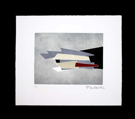 Hans RICHTER Original ETCHING Hand SIGNED "Our Future..." w/Custom Frame