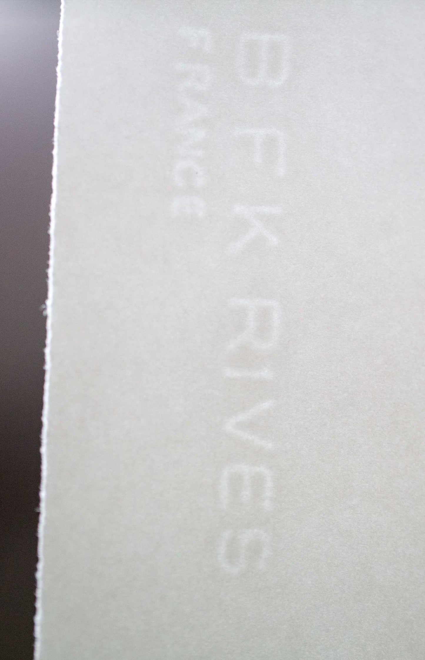 Andre MASSON Etching in Aquatint ~ Hand SIGNED - Ltd EDITION 89/120 w/Frame