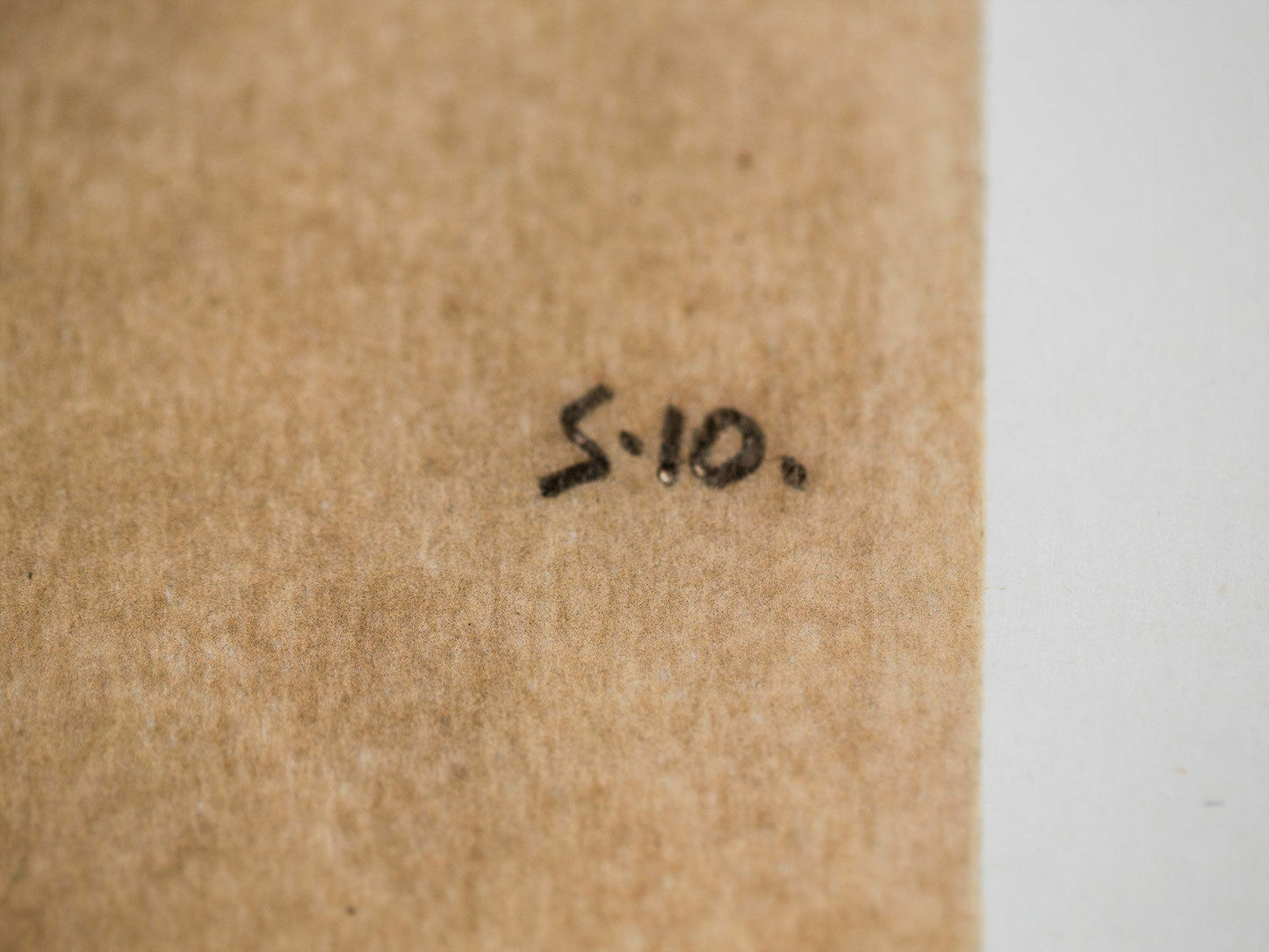 Egon SCHIELE Lithograph Gouache "Red Foxglove" 1910 LIMITED ED. w/Frame