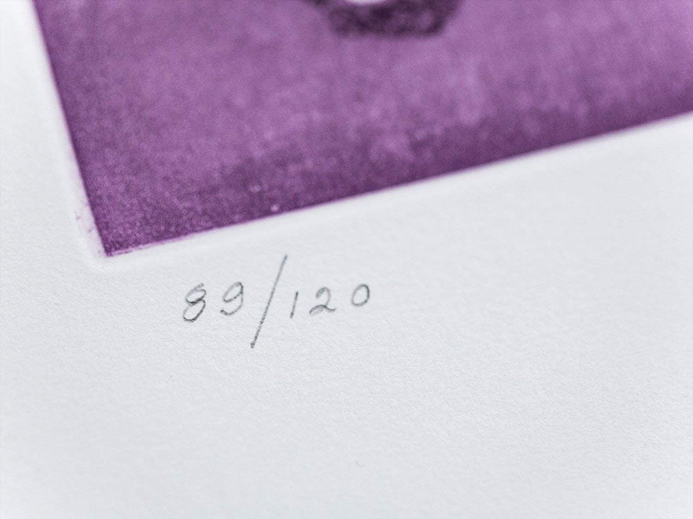 Andre MASSON Etching in Aquatint ~ Hand SIGNED - Ltd EDITION 89/120 w/Frame