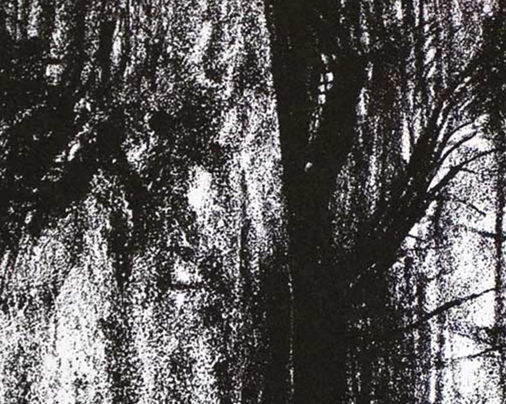 Henry Moore Original Lithograph "The Forest", 1973