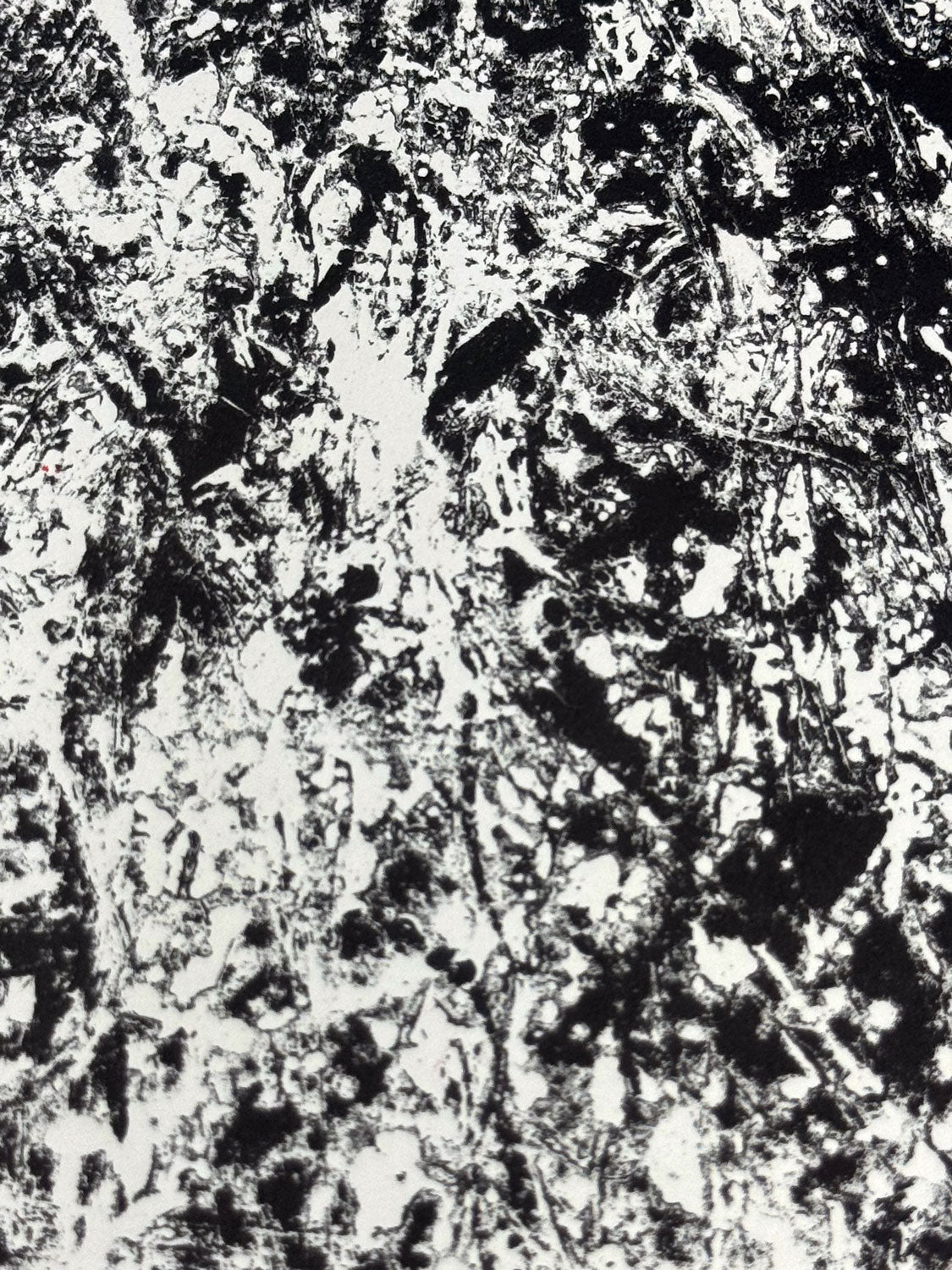 Black and white abstract textured pattern with a marbled, splattered, and fibrous design filling the entire frame.