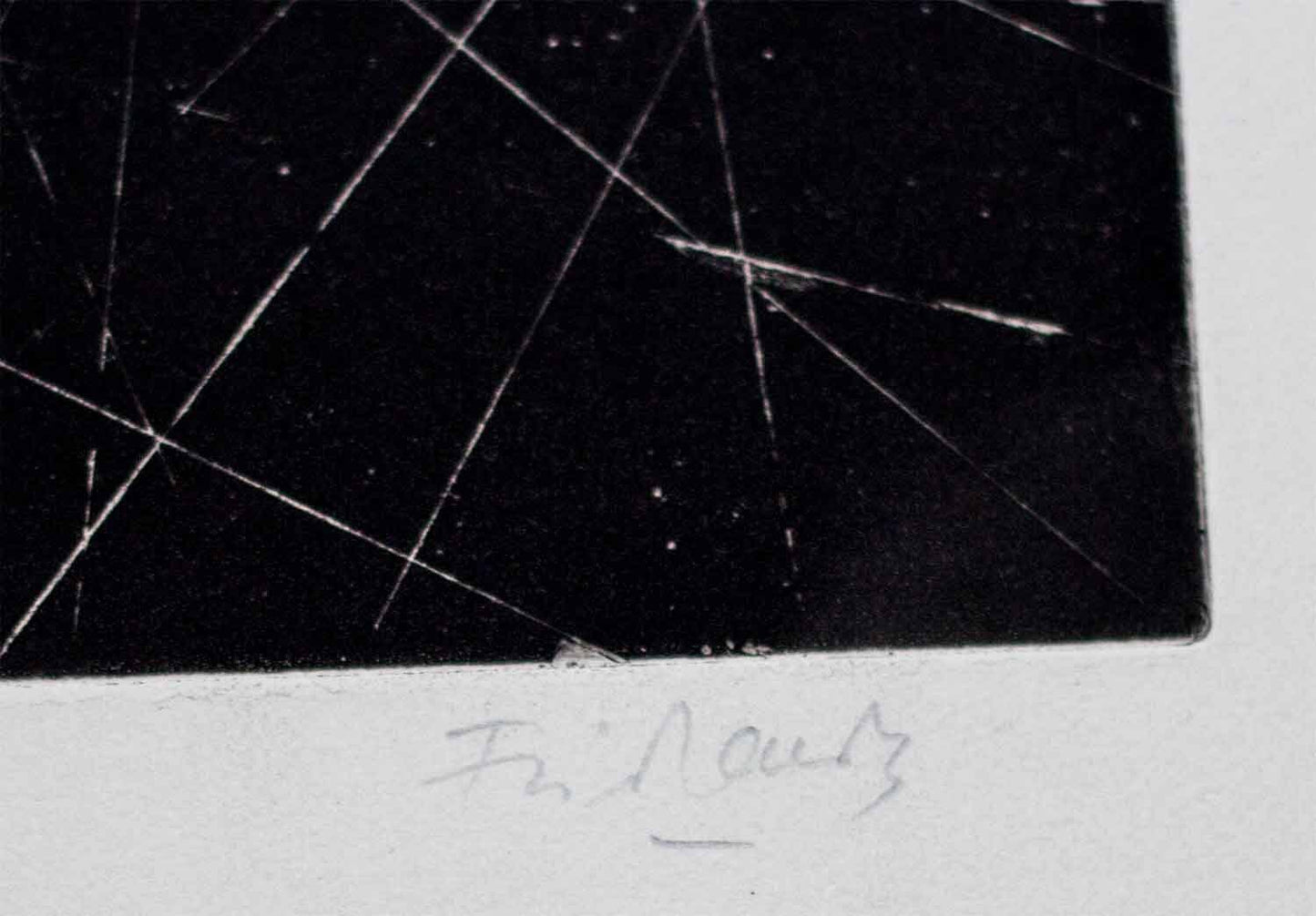 Johnny Friedlaender Hand Signed Etching - Coyote