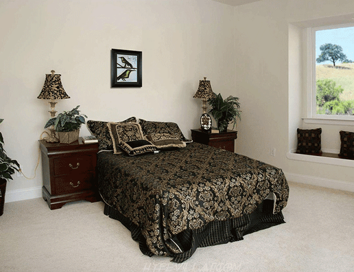 Bernard Buffet Original Lithograph | Bird Couple (Signed)