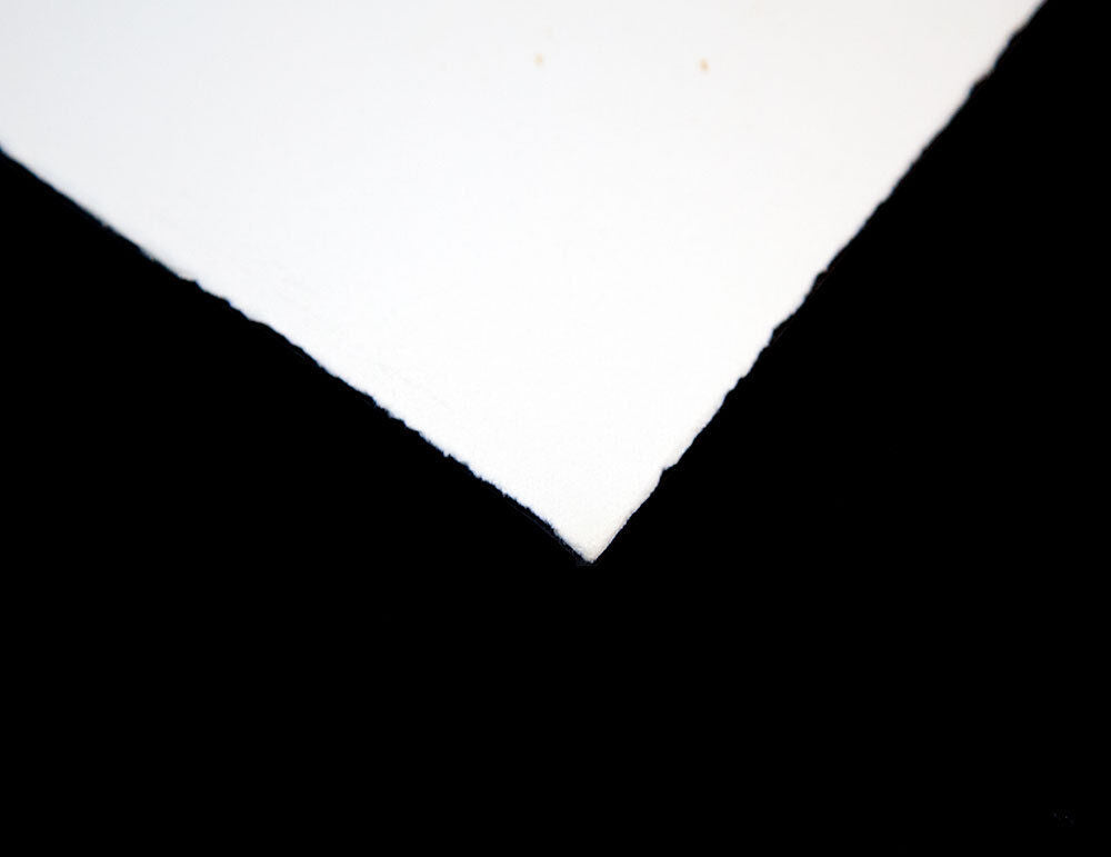 Max ERNST Lithograph ORIGINAL Limited Ed. Arches Cat. Ref b148 w/Frame