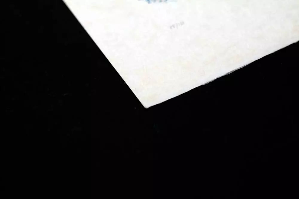 Andre MASSON Lithograph HAND #’ed & SIGNED on JAPON +C. Ref. C97 +Custom FRAME