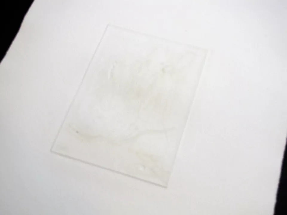 Stanley HAYTER Hand SIGNED Ltd. Edition Etching w/Archival Frame