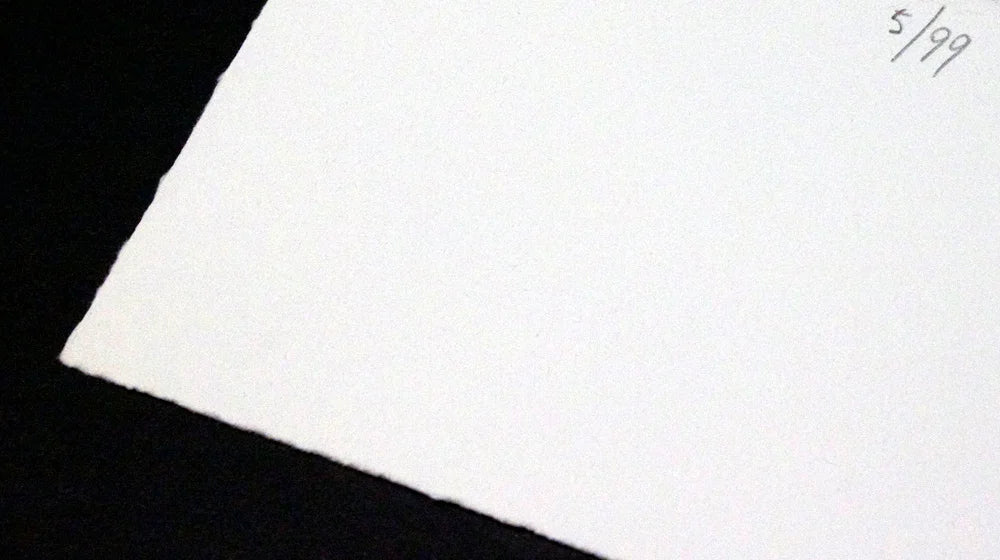 Hans RICHTER Original ETCHING Hand SIGNED Ltd. ED "Nature..." w/Custom Frame