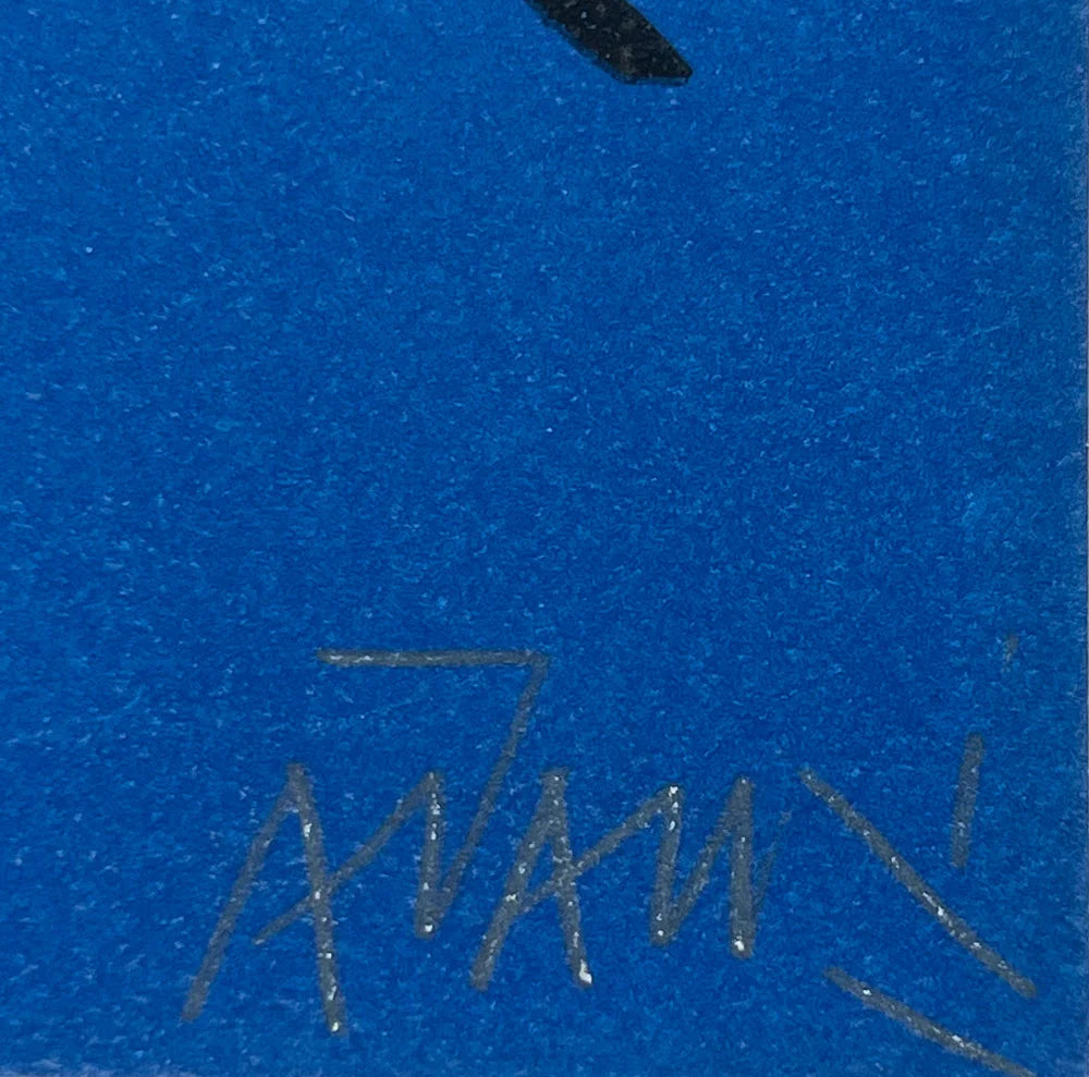 Valerio ADAMI ORIGINAL Lithograph HAND Signed Ltd. Edition 45/145 Vélin d'Arches