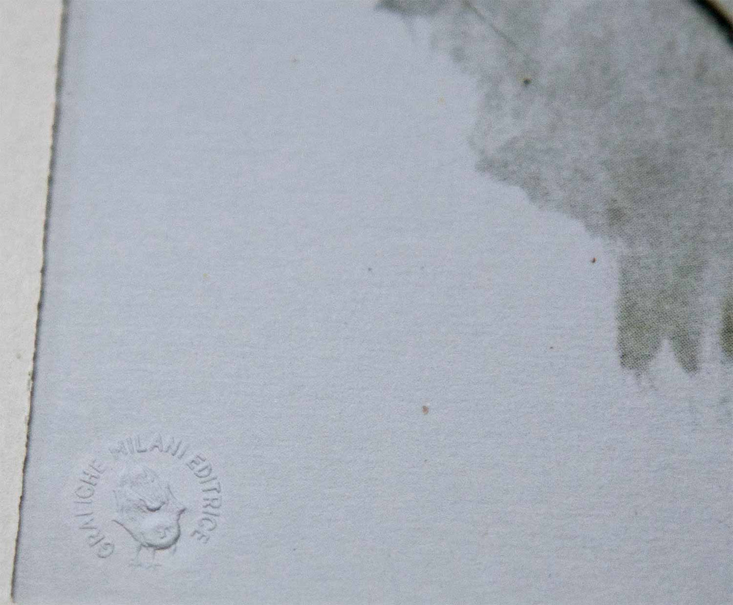 Jean ARP Limited Edition Lithograph SIGN Ltd. Ed. no.295 w/Custom Archival Frame